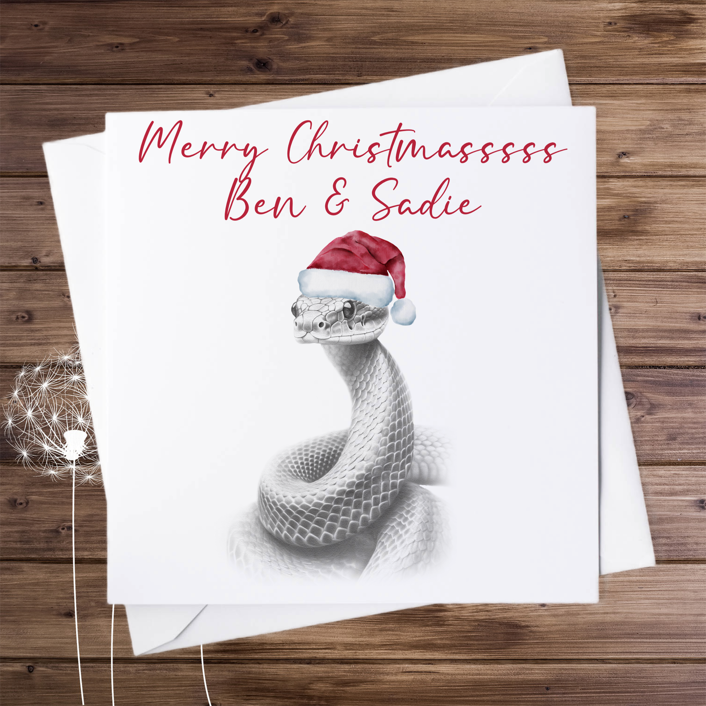 Card with the sketch of snake wearing a Christmas hat  and personalised with the names Ben and Sadie