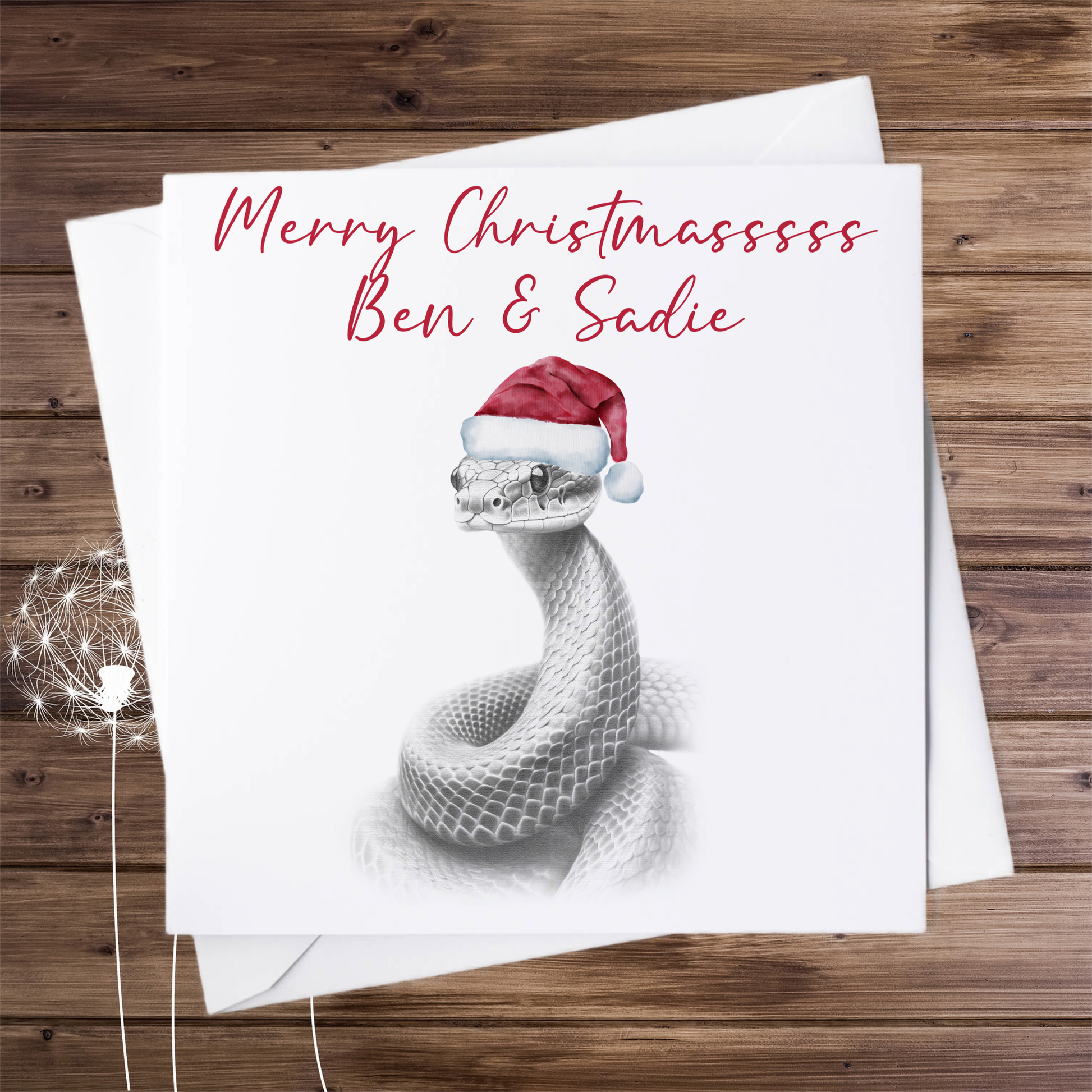 Card with the sketch of snake wearing a Christmas hat  and personalised with the names Ben and Sadie